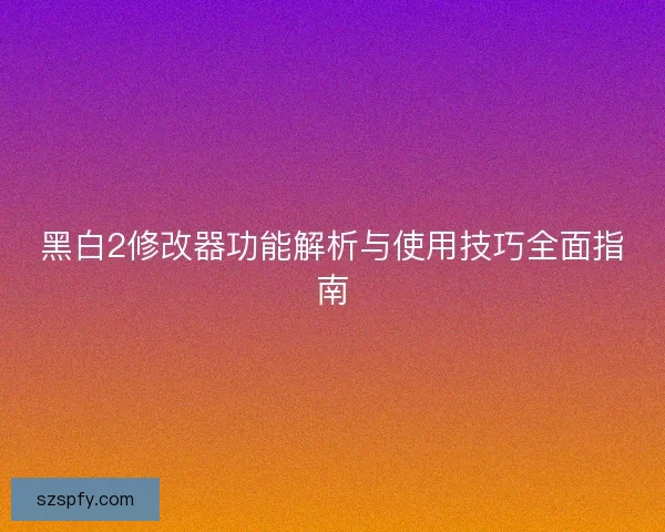 黑白2修改器功能解析与使用技巧全面指南
