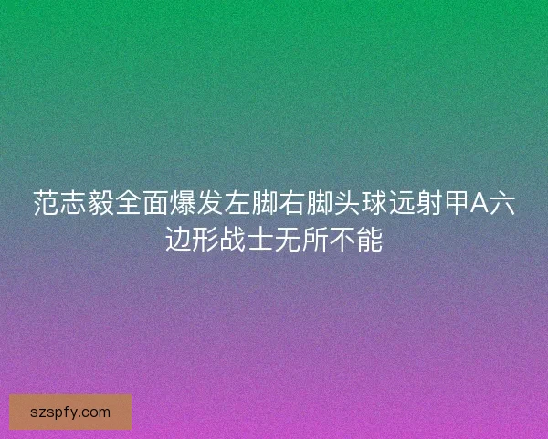 范志毅全面爆发左脚右脚头球远射甲A六边形战士无所不能