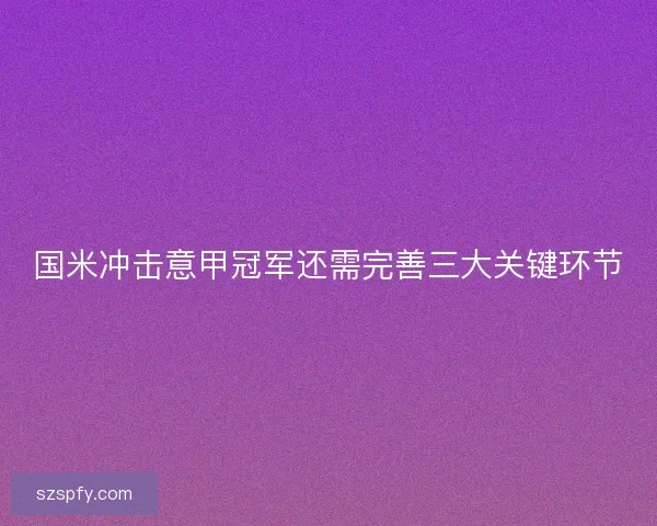 国米冲击意甲冠军还需完善三大关键环节